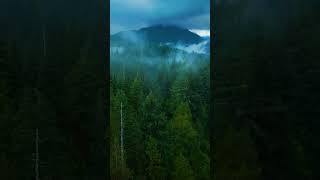 Móðir Náttúra ༒ Pulse of the Earth