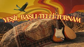 Yeşil Başlı Telli Turnam - 70s Anatolian Psychedelic Rock (NeoAnadolu - AI Music Re-imagined)
