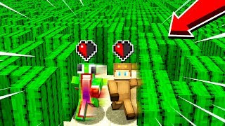 1v1 HALF A HEART CACTUS MAZE!