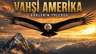 VAHŞİ AMERİKA: Bulut Ormanından Yellowstone'a Üç Vahşi Coğrafya | Tam Doğa Belgeseli