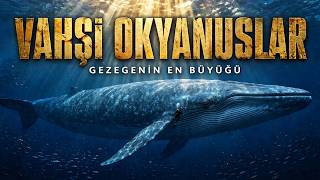 VAHŞİ OKYANUSLAR: Mariana'dan Antarktika'ya Bir Yolculuk | Türkçe Belgesel