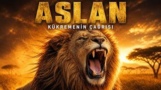 ASLAN: Savananın Sosyal Hikayesi | Kısa Doğa Belgeseli