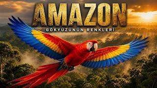 AMAZON: Gezegenin Yeşil Akciğeri | Doğa Belgeseli