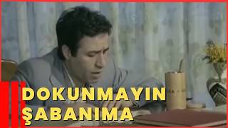 Dokunmayın Şabanıma | Kemal Sunal Eski Türk Filmi