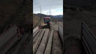 Traktörle El Yapımı Ağaç Yükleme Aparatı #hattat #traktör #tractor