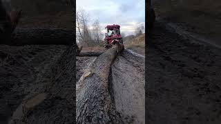 #hattat #traktör #tomruk #snow#tractor #trendingshorts