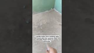 abi hassasiyet versene #shorts #komik #komikvideolar #komikvideo