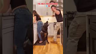 The best bodyguard 🔥🐾🐶❤️ #dog #dogcoach #k9master #trainingdog #pets #k9dog #k9dog