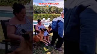 The best bodyguard 🔥🐾🐶❤️ #dog #dogcoach #trainingdog #pets #k9master #k9dog