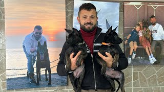 YAVRU KURTLARA YENİ İSİMLER ARANIYOR⁉️ #eyüpdoğan #belçikakurdu #malinois #belgianmalinois #eydog