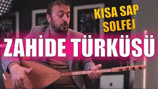 NEŞET ERTAŞ ZAHİDE TÜRKÜSÜ SOLFEJ "KISA SAP"