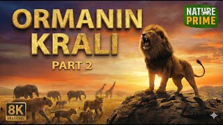 ORMANIN KRALI PART 2 | Vahşi Doğanın Sessiz Hükümdarları I Nature Prime Tam Belgesel 8K