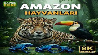 AMAZON YAĞMUR ORMANLARININ HAYVANLARI | 8K ULTRA HD Belgesel Gizemli Yaban Hayatı ve Doğanın Sesleri