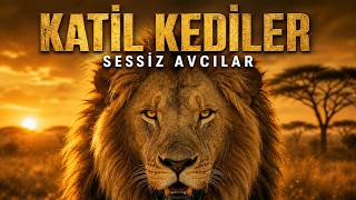 KATİL KEDİLER: Pusu, Hız ve Yalnızlığın Sanatı | Tam Doğa Belgeseli