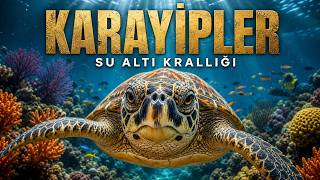 KARAYİPLER: Turkuaz Suların Altındaki Paralel Evren | Tam Doğa Belgeseli