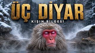 ÜÇ DİYAR: Volkanik Adadan Karlı Dağa Hayatta Kalma | Tam Doğa Belgeseli