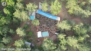 Drone ile Ege Bölgesinde Çobanlık Görüntüleri..