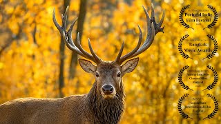 MOUNTAINS & FORESTS | Anatolia Ancient Nature Full Episode