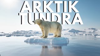 KIŞ HAYVANLARININ ARKTİK TUNDRA'DA HAYATTA KALMA MÜCADELELERİ - 4K Hayvan Belgeseli