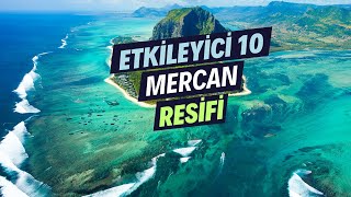 Dünyanın En İyi 10 Mercan Resifini Keşfet!