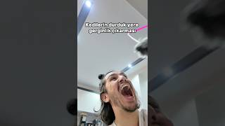 Senin kedinde böyle mi? 😂