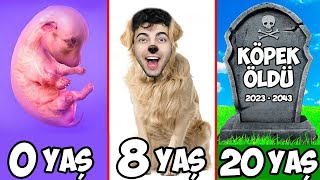 DOĞUMDAN ÖLÜME BİR KÖPEK OLARAK YAŞAMA OYUNU ! ( 0 - 100 YAŞ Köpek Simulator)