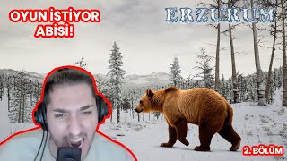 ERZURUMUN BOZ AYILARI RAHAT VERMEDİ ! ERZURUM (2. BÖLÜM)