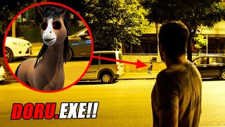 GERÇEK HAYATTA DORU 🐴