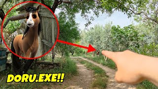 GERÇEK HAYATTA DORU'YU BULDUM! Minecraft Doru.exe