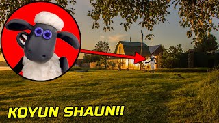 KOYUN SHAUN ile YÜZLEŞTİM! - Minecraft