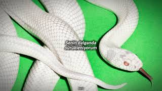 Deftones – i think about you all the time [Türkçe Çeviri]