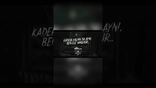 Zeşayn Leva - HİSSET!