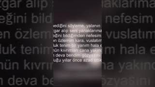 Taladro - Rüzgar Hiç Ağlar Mı  #shorts