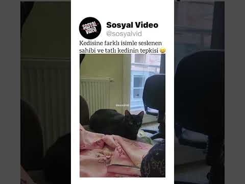 video-thumb