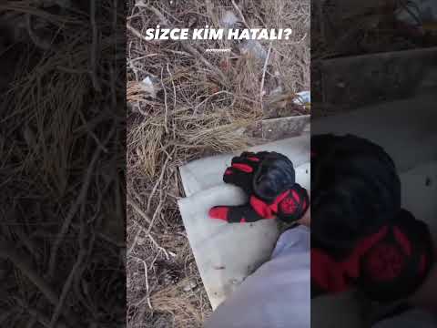 video-thumb