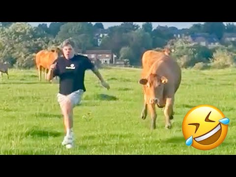 video-thumb