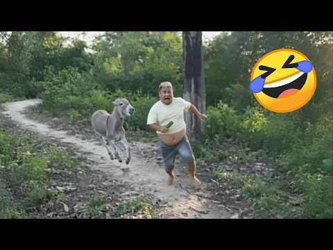 video-thumb
