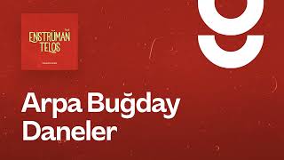 Arpa Buğday Daneler - g. Enstrümantal