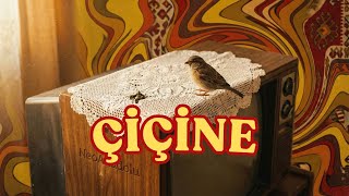 Çiçine | 70s Anatolian Rock Cover (NeoAnadolu - AI Re-imagined)