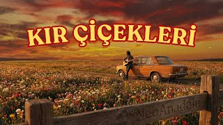 Kır Çiçekleri | Wildflowers - 70s Psychedelic Anatolian Rock (NeoAnadolu - AI Re-imagined)