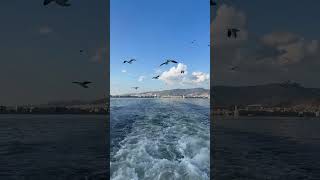Ahu Gözlüm Kar Yağdırdın Başıma