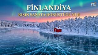 FİNLANDİYA | Donmuş Denizde Yüzdüler, Cam Kubbede Uyudular | 4K Belgesel