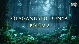Olağanüstü Dünya :Yeryüzünün Görkemli Şaheserleri