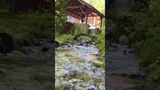 Sesi açın! #nature #relax #naturesounds