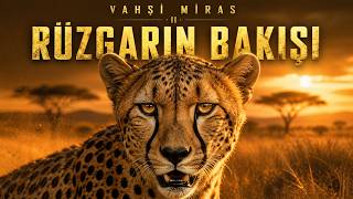 VAHŞİ MİRAS · BÖLÜM 2: Hızın ve Gölgenin İzleri | Tam Doğa Belgeseli