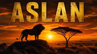 ASLAN: Savananın Sessiz Hükümdarı | Doğa Belgeseli