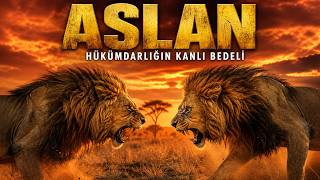 ASLAN: Hükümdarlığın Kanlı Bedeli | Tam Doğa Belgeseli