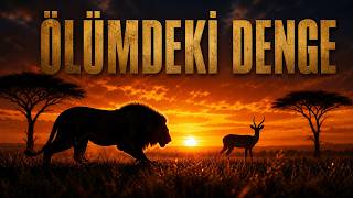 ÖLÜMDEKİ DENGE: Afrika'da Av ve Avcının Sessiz Dansı | Tam Doğa Belgeseli