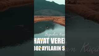 Alaska ve Kanada Nehirlerindeki Doğa Mucizesi 🌊🍂 #VahşiDoğa #PasifikKıyıları #Belgesel