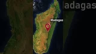 Madagaskar: 8. Kıta Olarak Anılan Eşsiz Yaşam Laboratuvarı 🌍🦎🌿 #Madagaskar #vahşiyaşam #belgesel